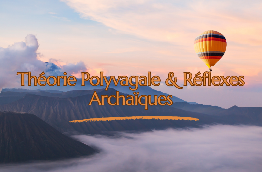 théorie polyvagale & réflexes Archaïques